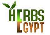 Herbs Egypt